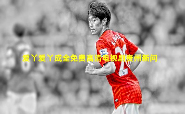 爱丫爱丫成全免费高清电视剧贵州新问