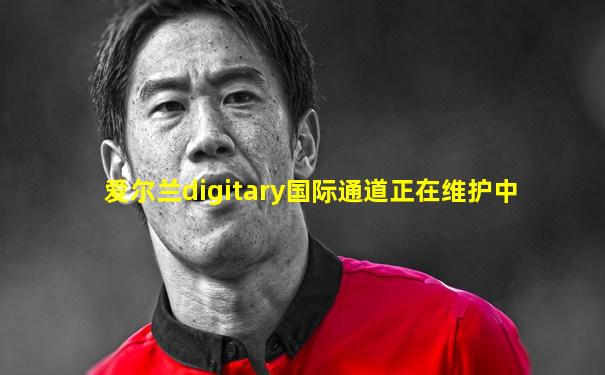 爱尔兰digitary国际通道正在维护中