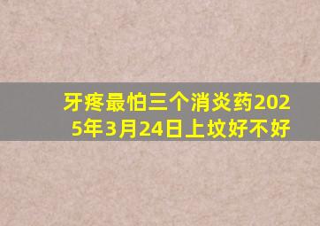 牙疼最怕三个消炎药2025年3月24日上坟好不好