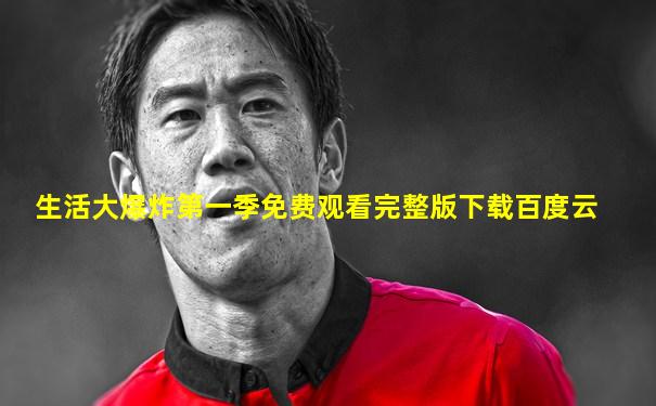 生活大爆炸第一季免费观看完整版下载百度云