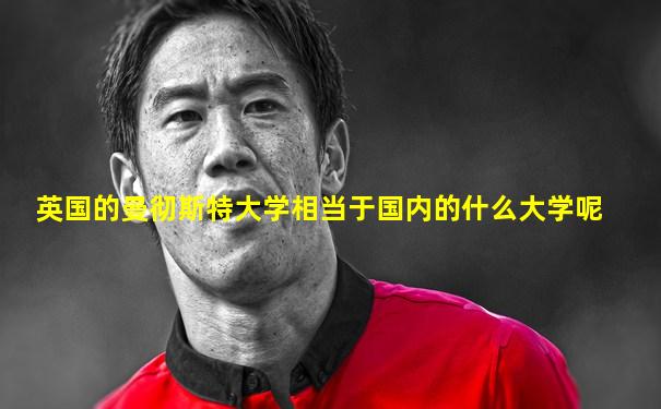 英国的曼彻斯特大学相当于国内的什么大学呢