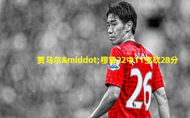 贾马尔·穆雷22中11空砍28分