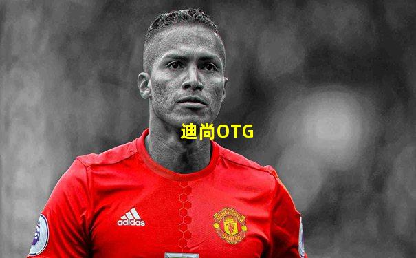 迪尚OTG