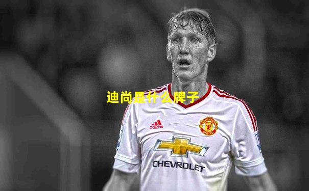 迪尚是什么牌子