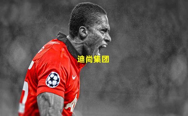 迪尚集团