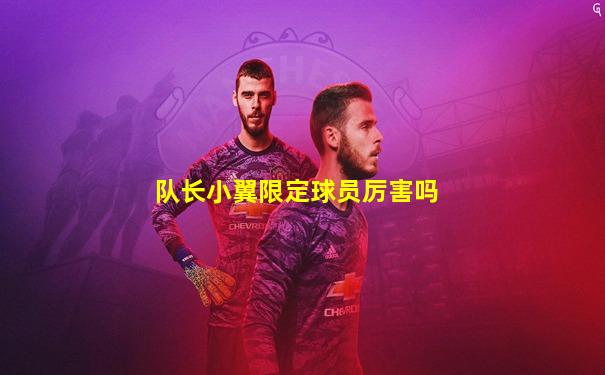 队长小翼限定球员厉害吗
