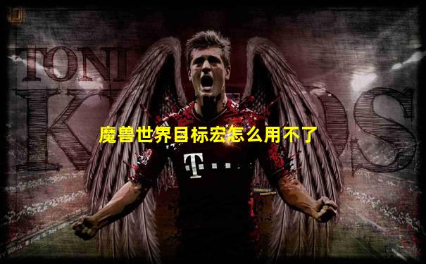 魔兽世界目标宏怎么用不了